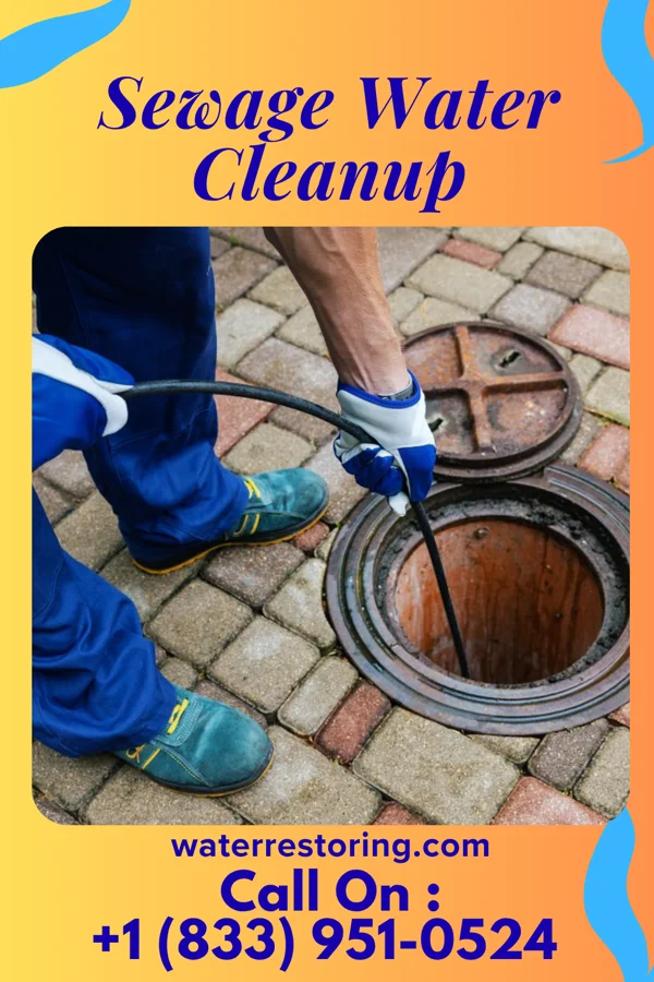 Sewage Water Cleanup in Mead, CO